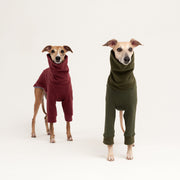 Fleece turtleneck for sighthounds