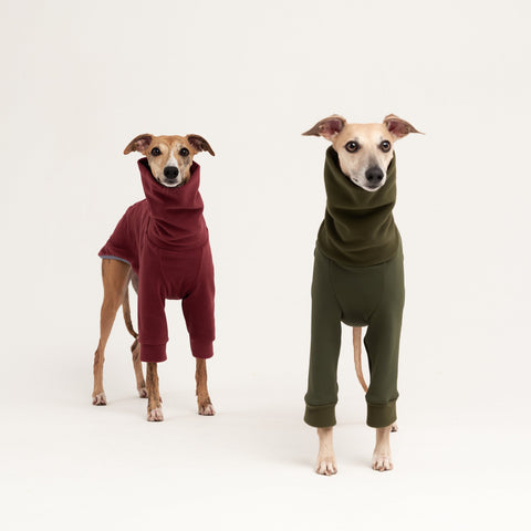 Fleece turtleneck for sighthounds
