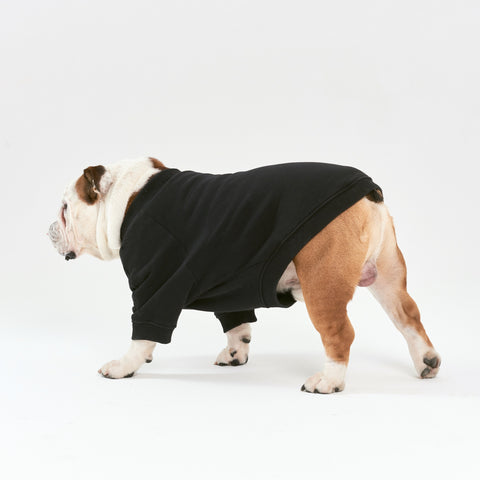 Warm cotton Black Sweatshirt for BULLY