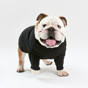 Warm cotton Black Sweatshirt for BULLY