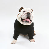 Warm cotton Black Sweatshirt for BULLY