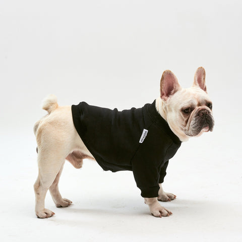 Warm cotton Black Sweatshirt for BULLY