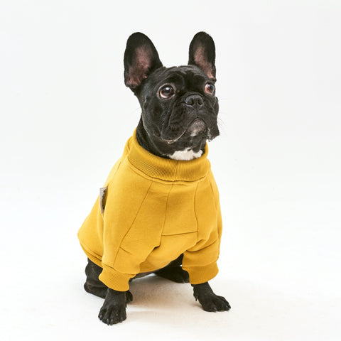 Warm cotton Yellow Sweatshirt for BULLY