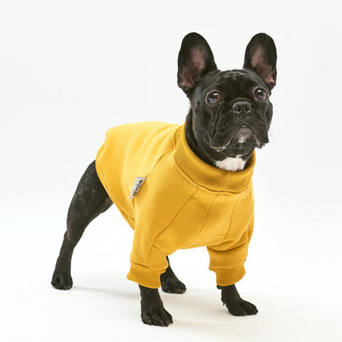 Warm cotton Yellow Sweatshirt for BULLY