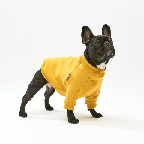 Warm cotton Yellow Sweatshirt for BULLY