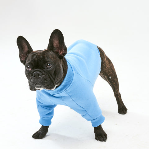 Warm cotton blue Sweatshirt for BULLY