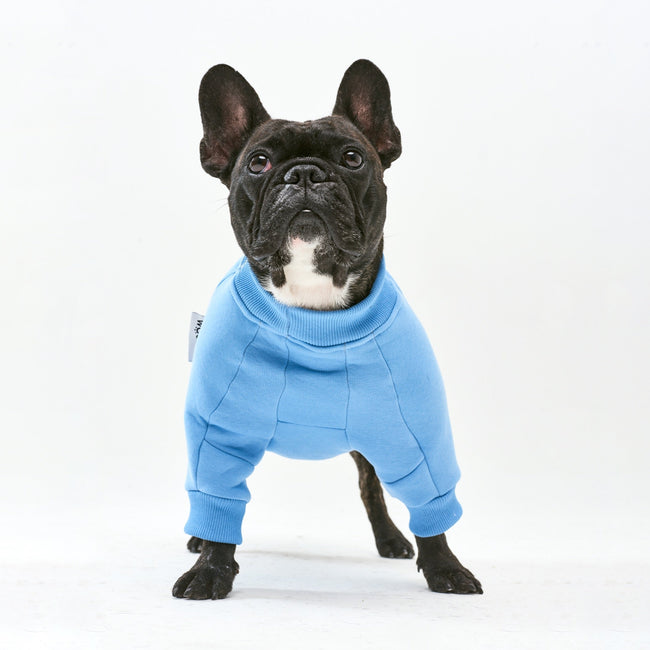 Warm cotton blue Sweatshirt for BULLY