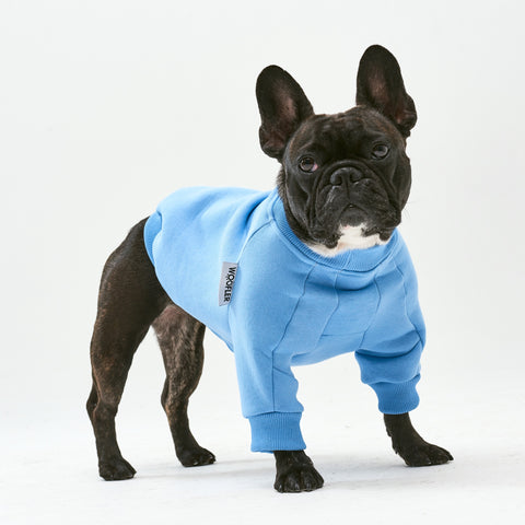 Warm cotton blue Sweatshirt for BULLY