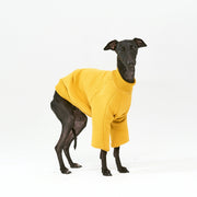 Thick cotton Yellow Sweatshirt TANKER BASE