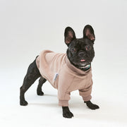 Warm cotton Sweatshirt Cacao for BULLY