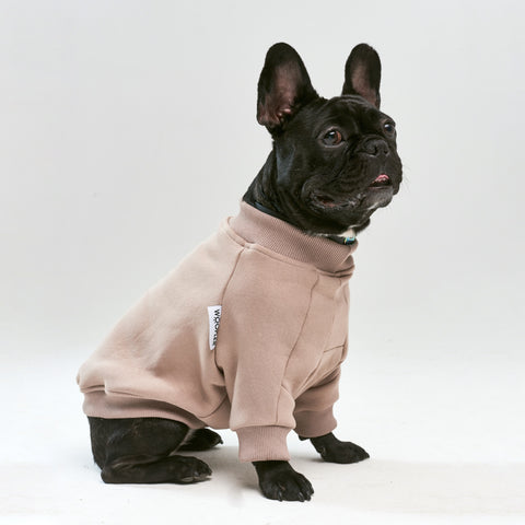 Warm cotton Sweatshirt Cacao for BULLY