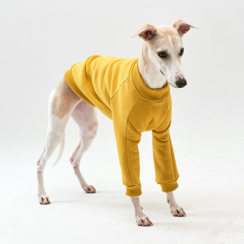 Thick cotton Yellow Sweatshirt TANKER BASE