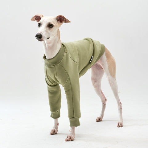 Thick cotton Olive Sweatshirt TANKER BASE