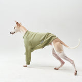 Thick cotton Olive Sweatshirt TANKER BASE