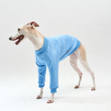 Thick cotton Light Blue Sweatshirt TANKER BASE
