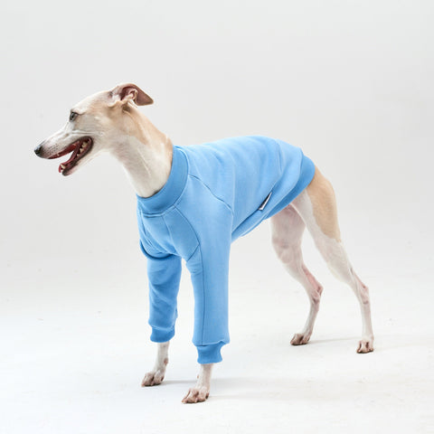 Thick cotton Light Blue Sweatshirt TANKER BASE