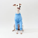 Thick cotton Light Blue Sweatshirt TANKER BASE