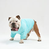 Warm cotton tiffany Sweatshirt for BULLY