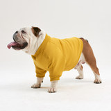 Warm cotton Yellow Sweatshirt for BULLY