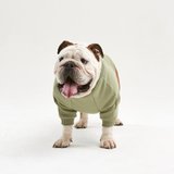 Warm cotton Sweatshirt Olive for BULLY