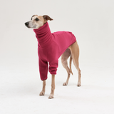Fleece turtleneck for sighthounds
