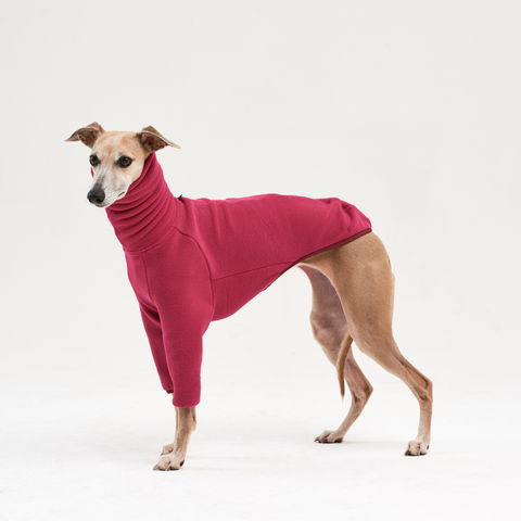 Fleece turtleneck for sighthounds