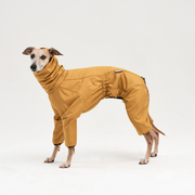Winter Jumpsuit with a hood for hounds SKYLINE