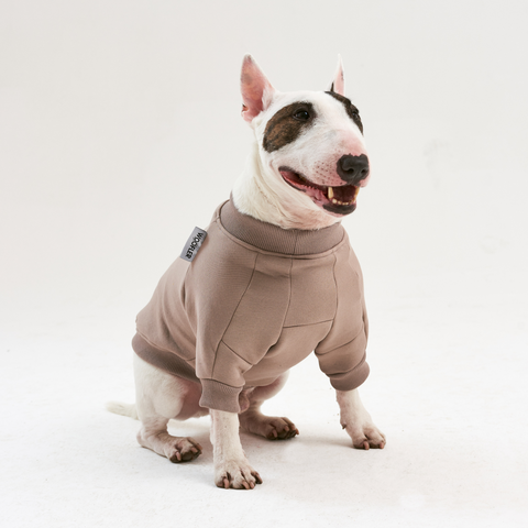 Warm cotton Sweatshirt Cacao for BULLY