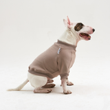 Warm cotton Sweatshirt Cacao for BULLY