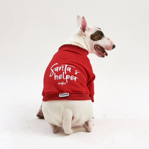 Warm cotton Sweatshirt  Santa's Helper for BULLY