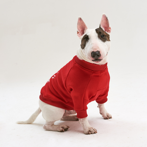Warm cotton Sweatshirt  Santa's Helper for BULLY