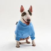 Warm cotton blue Sweatshirt for BULLY