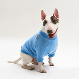 Warm cotton blue Sweatshirt for BULLY