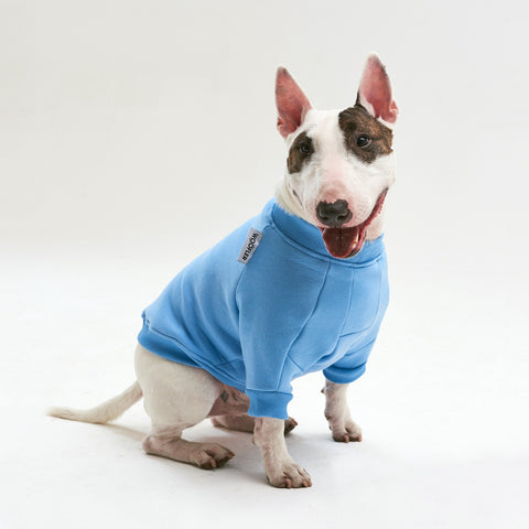 Warm cotton blue Sweatshirt for BULLY