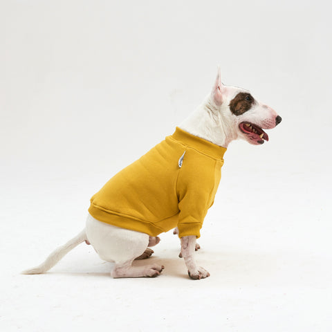 Warm cotton Yellow Sweatshirt for BULLY