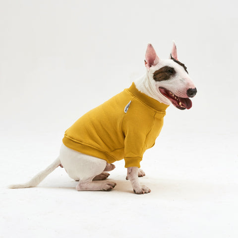 Warm cotton Yellow Sweatshirt for BULLY