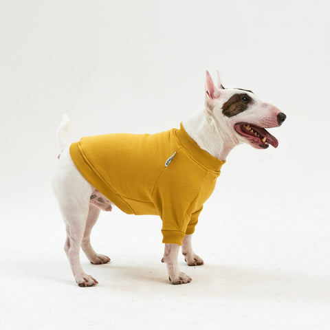 Warm cotton Yellow Sweatshirt for BULLY