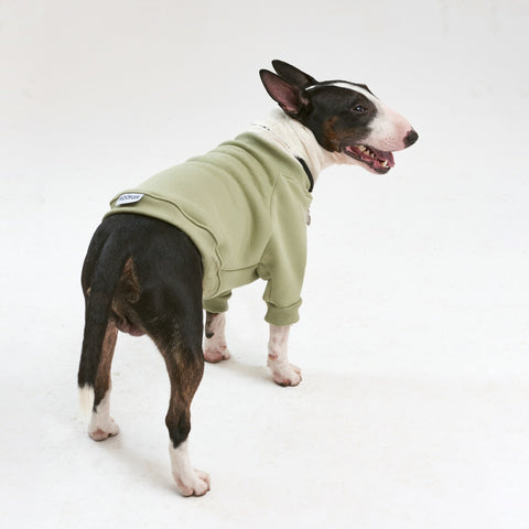 Warm cotton Sweatshirt Olive for BULLY