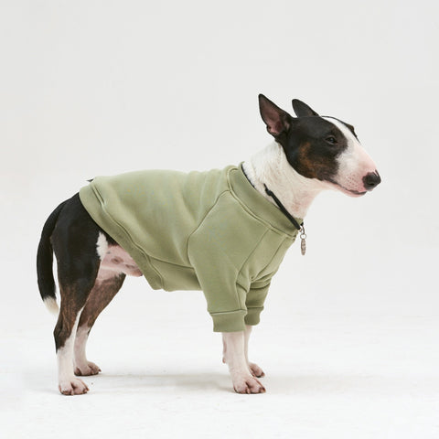 Warm cotton Sweatshirt Olive for BULLY