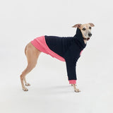 Thick cotton hoodie TANKER BASE blue duotone