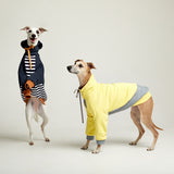Light cotton hoodie TANKER BASE Yellow grey