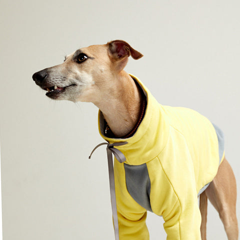 Light cotton hoodie TANKER BASE Yellow grey