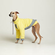 Light cotton hoodie TANKER BASE Yellow grey