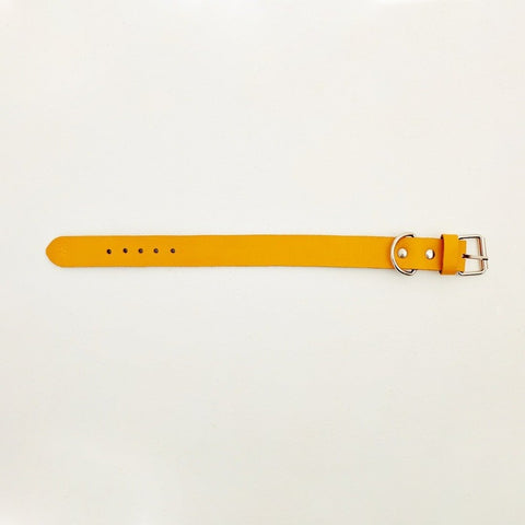Leather collar CHEDDAR