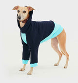 Thick cotton hoodie TANKER BASE blue duotone
