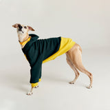 Thick cotton hoodie TANKER BASE duotone