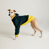 Thick cotton hoodie TANKER BASE duotone