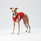 Sports jersey for coursing