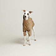 Designer trench coat for hounds TOFFE URBAN Beige