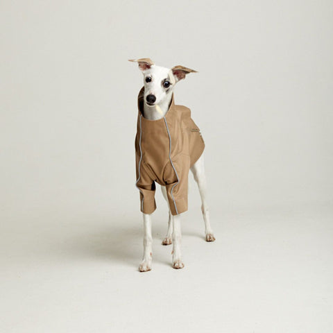 Designer trench coat for hounds TOFFE URBAN Beige